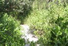 Dirty Creeksustainable-landscaping-16.jpg; ?>